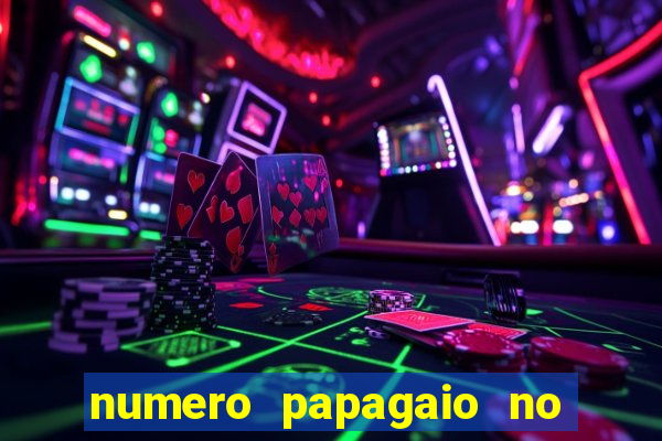 numero papagaio no jogo do bicho